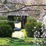 Healing Corridor