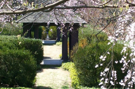 Healing Corridor