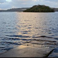 I must go, I will go: Poetry as Respite and Transformation