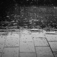 Writing About Rain